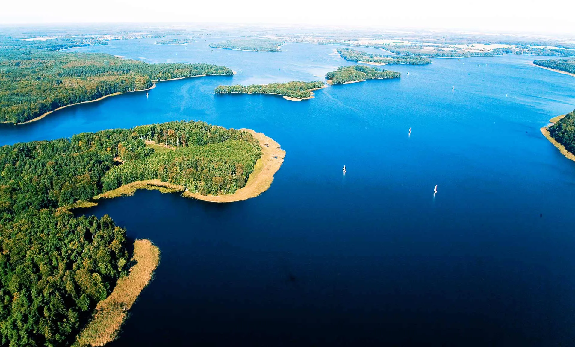 Doskonały do nauki